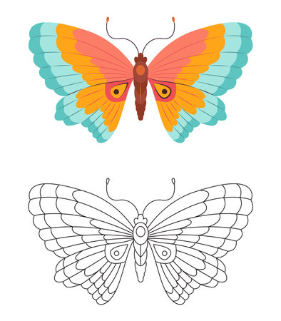 Butterfly Coloring page template. Colorful and black white butterfly doodle style. Beautiful insects line art, Hand Drawn. Retro style. Spring summer seasons. Coloring bookのイラスト素材
