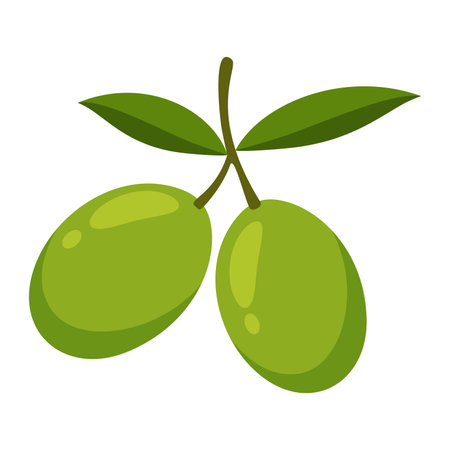 olives vegetable for cooking meals. A bright element. Hand drawn Trendy flat style isolated for design. Vector illustrationのイラスト素材