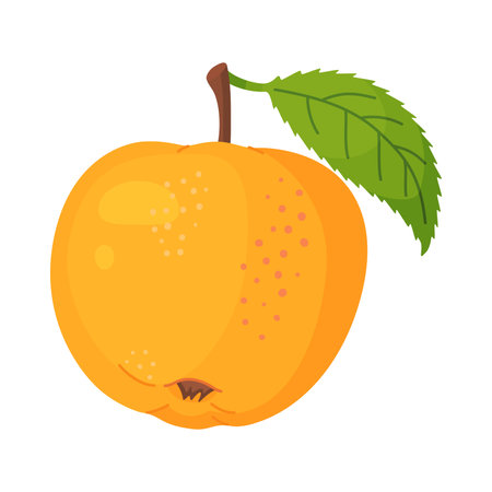 Yellow ripe apple with leaf, fresh garden fruit. Hand drawn food clipart. Whole fruit with green leaf, Flat style isolated on transparent background. Vector illustrationのイラスト素材