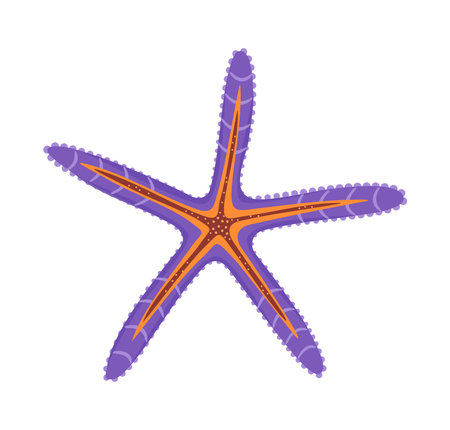 Purple Starfish icon. Sea star animal Hand drawn trendy flat style Starfish isolated icon. Echinoderm Underwater Marine animal. Summer Vector illustration for web design, Greeting card, poster tattooのイラスト素材