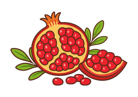 Pomegranate fruit, halved with grains and green leaves. Hand drawn Flat style. For food packaging, healthy food promotions, recipe books, nutrition blogs, product labels, menu and seasonal designs.のイラスト素材