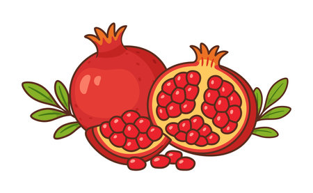 Pomegranate fruit, whole and halved with green leaves. Hand drawn Flat style. For food packaging, healthy food promotions, recipe books, nutrition blogs, product labels, menu and seasonal designs.のイラスト素材