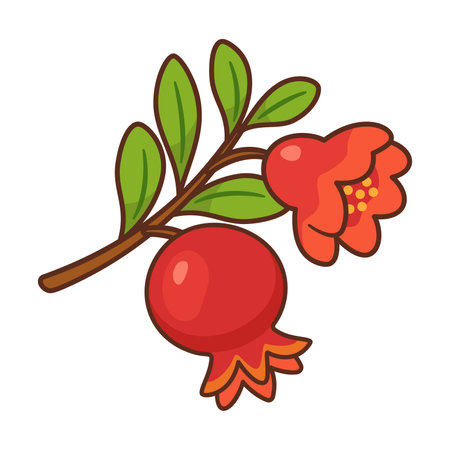 Pomegranate branch with fruit and bright red flower. Hand drawn flat style with bold outlines. For food packaging, healthy food, recipe books, nutrition blogs, product labels, menu, seasonal designs.のイラスト素材