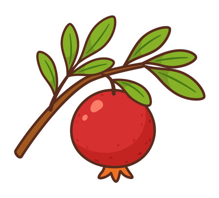 Ripe pomegranate hanging on a branch with fresh green leaves. Hand drawn flat style. For food packaging, healthy food, recipe books, nutrition blogs, product labels, menu, seasonal designs. Vectorのイラスト素材