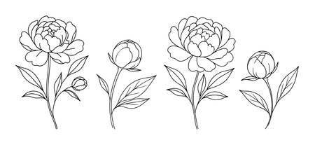 Peony flowers. Botanical Doodle style. Hand drawn black and white isolated icon. Coloring page, art therapy, line art, logotype. Vector illustrationのイラスト素材