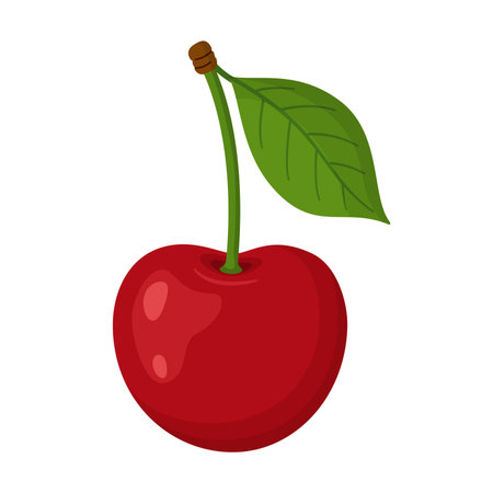 Single red cherry with green leaf and stem. Bright Hand drawn trendy flat style. Perfect for food...