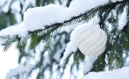 Christmas white shiny ball toy on the snow branch of a green tree. Glitter Christmas toy. Snow lies on the branches of fir tree. Christmas winter concept. Copy space for text, font, words. Top view の写真素材