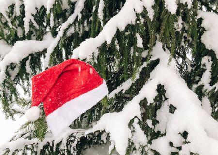 Red Santa hat lies on the branch of snowy Christmas fir tree. Winter Christmas weekend holidays. Christmas, New year concept. Christmas card. Copy space. Top viewの写真素材