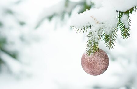 Christmas pink shiny ball toy on the snow branch of a green tree. Glitter Christmas toy. Snow lies on the branches of fir tree. Christmas winter concept. Copy space for text, font, words. Top view の写真素材