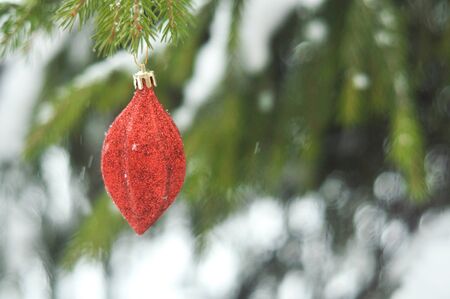 Christmas red shiny toy on the snow branch of a green tree. Glitter Christmas toy. Snow lies on the branches of fir tree. Christmas winter concept. Copy space for text, font, words. Top view の写真素材