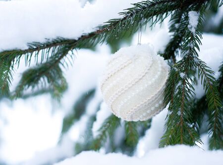 Christmas white shiny ball toy on the snow branch of a green tree. Glitter Christmas toy. Snow lies on the branches of fir tree. Christmas winter concept. Copy space for text, font, words. Top view の写真素材