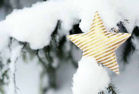 Christmas shiny stars toy on the snow branch of a green tree. Snow lies on the branches of fir tree. Christmas winter concept. Copy space for text, font, words. Top view の写真素材