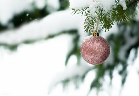 Christmas pink shiny ball toy on the snow branch of a green tree. Glitter Christmas toy. Snow lies on the branches of fir tree. Christmas winter concept. Copy space for text, font, words. Top view の写真素材