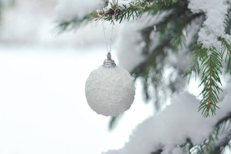 Christmas white shiny ball toy on the snow branch of a green tree. Glitter Christmas toy. Snow lies on the branches of fir tree. Christmas winter concept. Copy space for text, font, words. Top view の写真素材