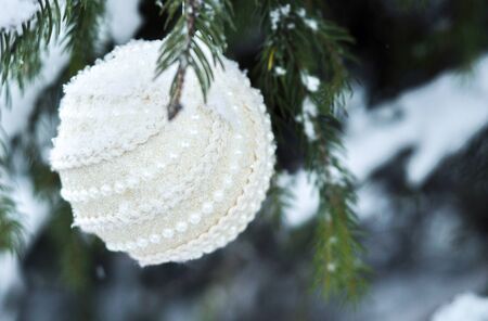 Christmas white shiny ball toy on the snow branch of a green tree. Glitter Christmas toy. Snow lies on the branches of fir tree. Christmas winter concept. Copy space for text, font, words. Top view の写真素材