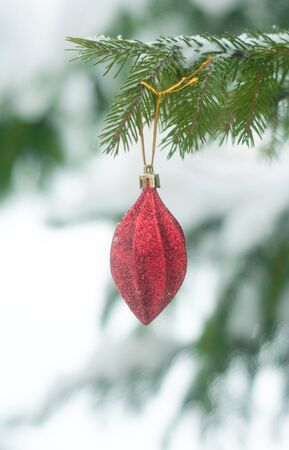Christmas red shiny toy on the snow branch of a green tree. Glitter Christmas toy. Snow lies on the branches of fir tree. Christmas winter vertical concept. Copy space for text, font words. Top view の写真素材