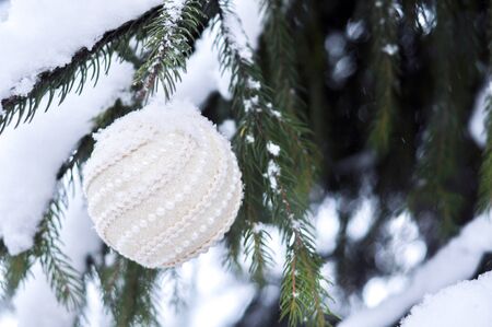 Christmas white shiny ball toy on the snow branch of a green tree. Glitter Christmas toy. Snow lies on the branches of fir tree. Christmas winter concept. Copy space for text, font, words. Top viewの写真素材