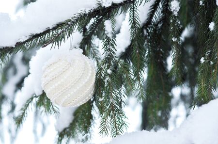 Christmas white shiny ball toy on the snow branch of a green tree. Glitter Christmas toy. Snow lies on the branches of fir tree. Christmas winter concept. Copy space for text, font, words. Top view の写真素材