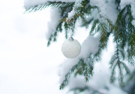 Christmas white shiny ball toy on the snow branch of a green tree. Glitter Christmas toy. Snow lies on the branches of fir tree. Christmas winter concept. Copy space for text, font, words. Top viewの写真素材