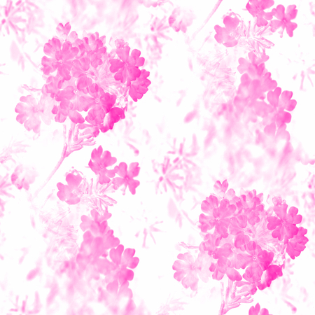 Pink flower - seamless backgroundの写真素材