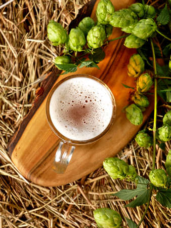 Still life with hop cones and a mug of beer.の写真素材