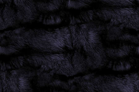 Seamless fur texture. Winter background.の写真素材