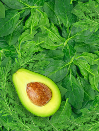 Fresh spinach, arugula and half avocado with pit. Healthy vegetables rich in antioxidants. Ingredients of dishes and cocktails.の写真素材
