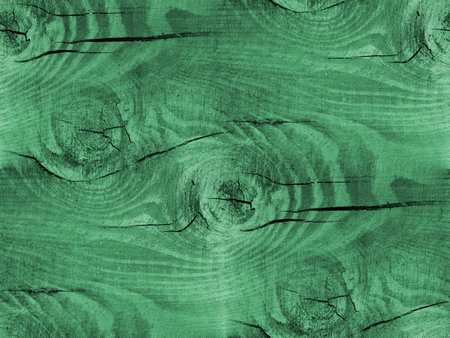 Seamless green wooden texture. Grunge background. Old destroyed surface.の写真素材