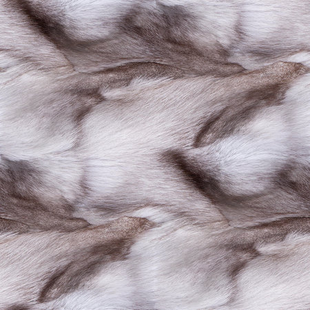 Chinchillas or fox fur. Seamless texture, winter background.