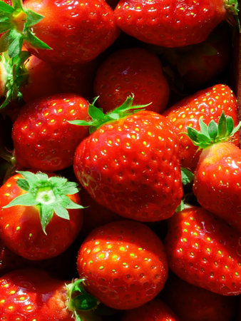 Fresh organic strawberries from Poland. Juicy fruit and stalks in close-up.の写真素材