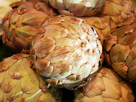 Dried artichokes - full frame. A medicinal plant rich in inulin and minerals. A delicacy in Italian cuisine.の写真素材