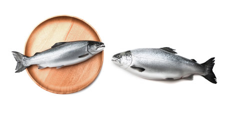 Atlantic salmon. Fresh raw fish isolated on a white background. A healthy meal, an ingredient in many diets.の写真素材