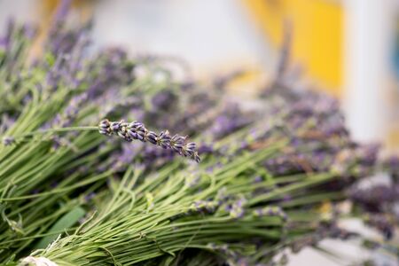 Dried lavender sits for sale at a local, summer farmer's marketの写真素材