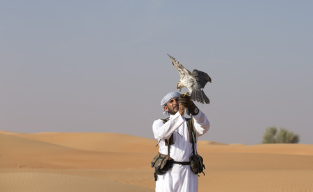 Dubai, UAE, November 18th, 2016: falconer training his falcon