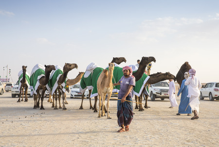 Madinat Zayed, United Arab Emirates, December 15th, 2017: arab man with his camel in a desertのeditorial素材