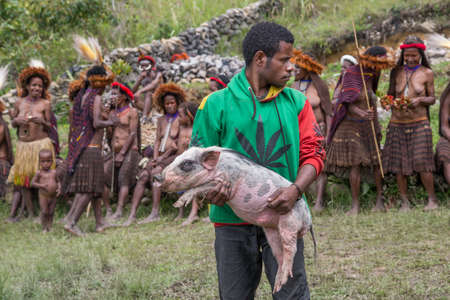 Baliem Valley, West Papua, Indonesia, February 2016: papuan man carrying a pigのeditorial素材