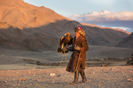 Baya Olgii, Mongolia, September 2015: Kazakh man training his alert Golden Eagle