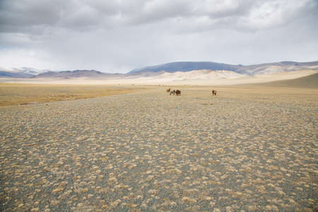 Landscape of remote Mongolia in fall