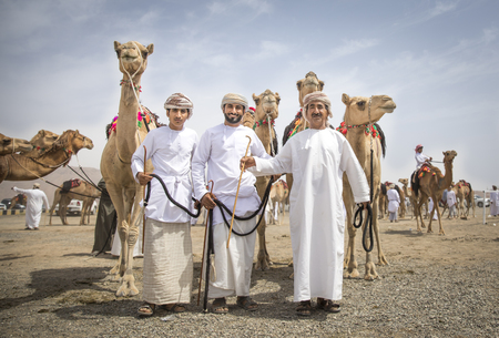 Ibri, Oman, 28th April 2018: men with their camels on a countryside of Omanのeditorial素材