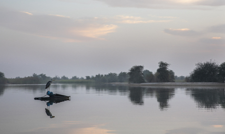 sunraise at al Qudra lake reserve, near Dubaiの写真素材