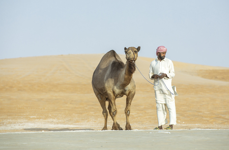 Madinat Zayed, United Arab Emirates, 22nd December, 2018: man with his dwarf camel at the Million Street (road in a desert where camels get sold and bought)のeditorial素材