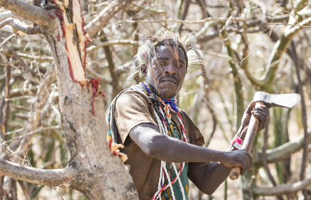 Lake Eyasi, Tanzania, 11th September 2019: Hadzabe man looking for honey in a treeのeditorial素材