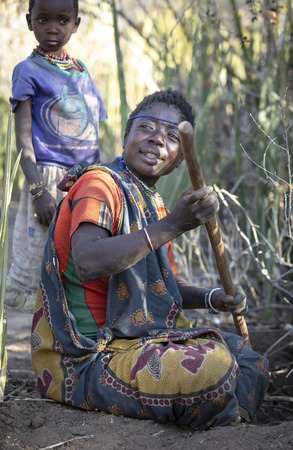 Lake Eyasi, Tanzania, 12th September 2019: Hadzabe woman diffing tuber plants for a eventing meal