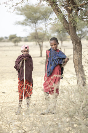 Arusha, Tanzania, 7th September 2019: maasi boys outside their home, in a landscape of savannahのeditorial素材