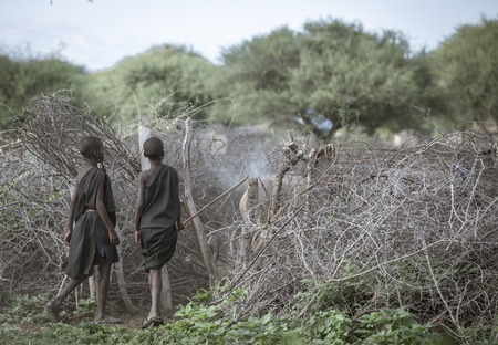 Same, Tanzania, 4th June, 2019:   Maasai  boys herding cows, sending them back into enclose in the middle of their boma (village)のeditorial素材