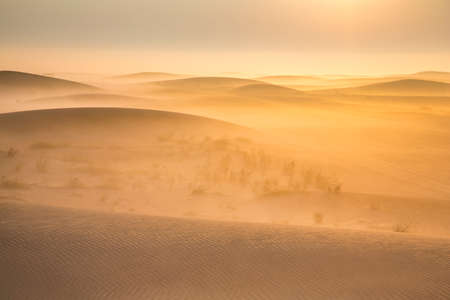 Mist in a desert at sunrise near Dubai, UAEの写真素材