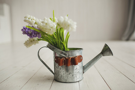 Old kettle with white flowers on white wooden background as 8 march greeting cardの写真素材