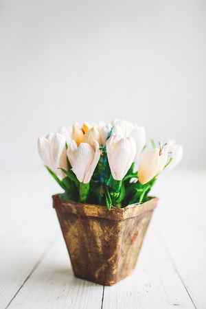 Beautiful white flowers in a pot on a white wooden backgroundの写真素材