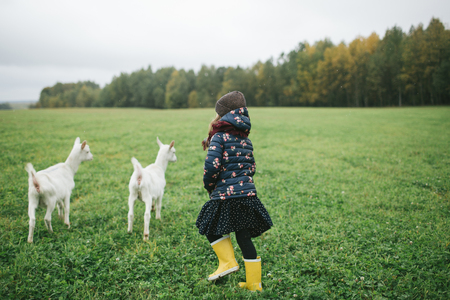 Little kids playing and feeding with goats on the goats cheese farm outdoorsの写真素材