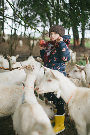 Little kids playing and feeding with goats on the goats cheese farm outdoorsの写真素材